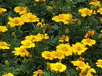 20190621_110248.jpg
