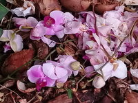 20180327_091856.jpg