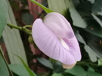 20180327_091907.jpg