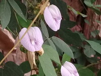 20180327_092000.jpg