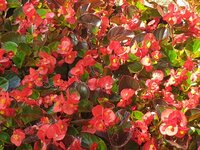 20190621_110239.jpg