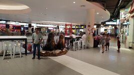 20181221_154738.jpg