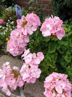 20190719_153449.jpg