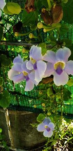 20190806_092352.jpg
