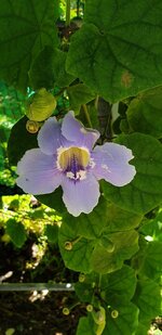 20190806_092347.jpg