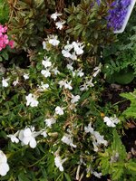 20190719_153456.jpg