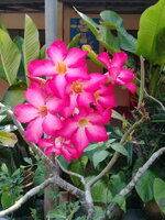 20180404_112106.jpg