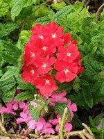 20190719_153501.jpg