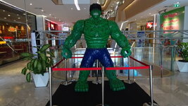 LRG_DSC02330.JPG
