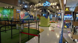 LRG_DSC02339.JPG