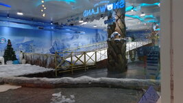 LRG_DSC02344.JPG