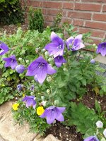 20190719_153513.jpg