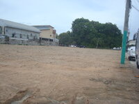 36502750av.jpg