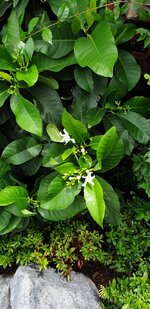 20190813_111803.jpg
