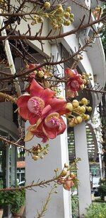 20190814_122127.jpg