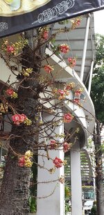 20190814_122110.jpg