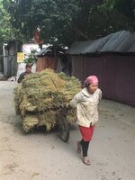 3F6321F4-4403-4EA4-A53E-527B832FA049.jpeg