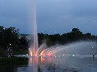 IMG_20190609_221337.jpg
