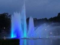 IMG_20190609_221839.jpg