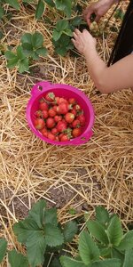 IMG-20190610-WA0006.jpg