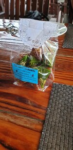 20190916_155951.jpg