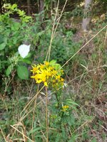 20190807_123744.jpg