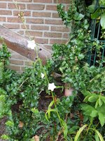 20190807_124939.jpg