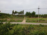 20190522_103511.jpg