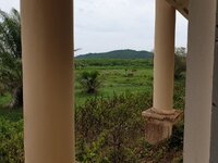 20190522_104256.jpg
