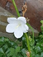 20190807_124946.jpg