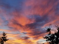 IMG_20191011_185050.jpg
