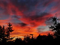 IMG_20191011_185606.jpg