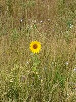 20190816_124408.jpg