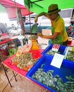 IMG_20191013_181929.jpg