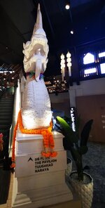 IMG-20191013-074054.jpg