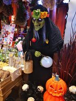 IMG-20191013-074426.jpg