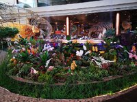 IMG-20191010-130151.jpg