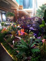 IMG-20191014-074109.jpg