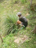 IMG-20191015-121943.jpg