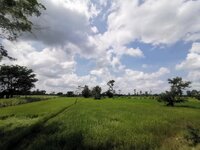 IMG-20191015-123224.jpg