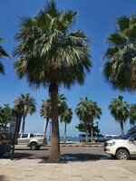 IMG-20191018-105824.jpg
