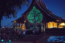 IMG_8385.jpg