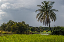 IMG_8688.jpg