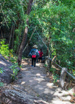 IMG_8866.jpg