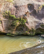 IMG_8925.jpg
