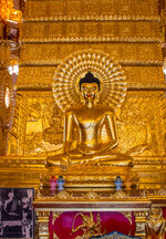 IMG_8276a.jpg