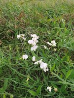 20190816_124424.jpg