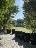 08335E87-DA13-4CDB-95CB-C700882831E1.jpeg
