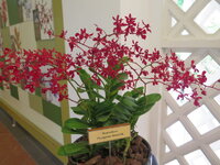 IMG_5962.jpeg