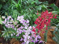 IMG_5953.jpeg